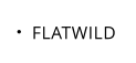FLATWILD